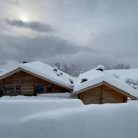 9br Relaxing Chalet With Pool Manigod